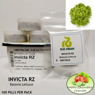 Invicta RZ Batavia Lettuce by RIJK ZWAAN (50, 100 & 200 pelleted seeds/ Repacked)