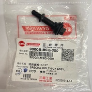 SYM Motors Sanyang (Single Price) 9000B-M9Q-000 Special Bolt M6 * 37 Screws