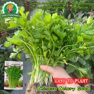 600seeds High Yield Chinese Celery Seeds for Planting Vegetables Plants Small Leaf Celery Seeds Vege