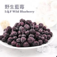 [莓果工坊]鮮凍野生藍莓(加拿大)2入