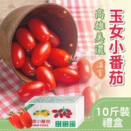 【家購網嚴選】高雄美濃溫室玉女小番茄禮盒 10斤/盒