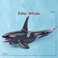 【Grosir Murah】Mainan Simulasi Ikan Paus / Hiu / Lumba-Lumba Bahan Plastik Untuk Anak Whale