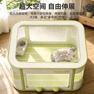 Cat Delivery Room Production Nest Production Dedicated Production Room Carton Closed Female Cat Wait