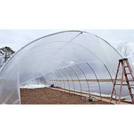 24 feet x 10 feet Greenhouse, Greenhouse Film, Greenhouse Film UV, UV Plastik, UV cover, Plastic Greenhouse UV