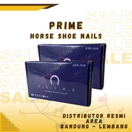 Imported Horse Shoe Nail (Horse Nail) 250pcs