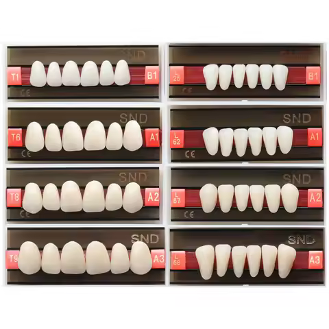 B1A1A2A3 Shade Two-Layer Dental Acrylic Synthetic Resin Teeth Whitening Denture Fake Oral Care False