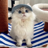 Cute Dog and Cat Hat with Open Ears - Sun Hat for Pets German Cat Hat Puppy Fisherman Hat