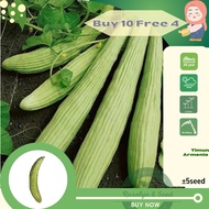 Biji Benih Timun Armenia Armenian Cucumber 亚美尼亚黄瓜种子