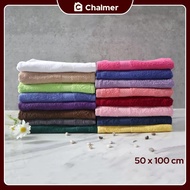 Chalmer Travel Towel 50x100 (Colourful Towel)