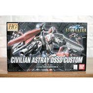 HG Civilian Astray DSSD Custom 49