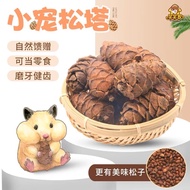 松塔 磨牙零食仓鼠松鼠 Pinecone molar snack hamster squirrel