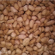 kacang tanah 1kg lokal
