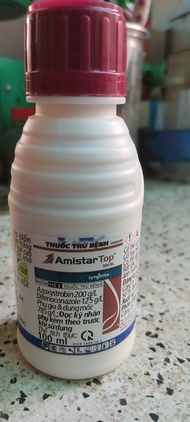 Thuốc trừ bệnh Amistar Top 100ml