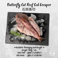 Butterfly Cut Reef Cod Grouper