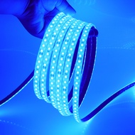 IP68แถบไฟ LED กันน้ำ24V 120LED สีแดง/น้ำเงิน/เขียว/ขาว/ชมพู/เหลืองการตกแต่งบ้านเชือกริบบิ้นยืดหยุ่น1