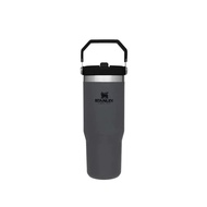 STANLEY ICEFLOW FLIP STRAW TUMBLER - 30OZ
