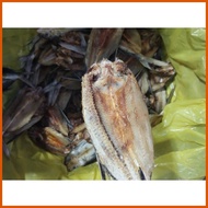 ∇ ✟ ⎯ Bulad Bangsi Flying Fish Dried Tuyo
