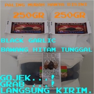 Bawang | Bawang Putih Hitam Tunggal-Bawang Hitam Lanang Siung-Black