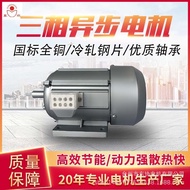 Manufacturer jw Three-Phase 380v Two-Pole Four-Pole 0.18/0.25/0.37/0.55/0.75kw Horizontal Copper Cor