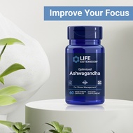 Life Extension Optimized Ashwagandha Brain Health Supplement Healthy Memory Function