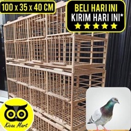 Dongdang Merpati 4 Pasang 8 Pintu Kandang Merpati Kurungan Burung Merpati Dara Sangkar Merpati Balap