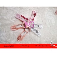 Satin ballet shoes, Chandra ballet shoes, Chandra ballet shoes, Chandra dance shoes, ballet shoes