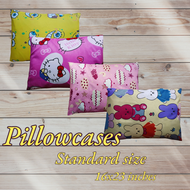Character Pillow case / punda with overlapped  zipper standard size 16x23 inches (sold per piece) pu