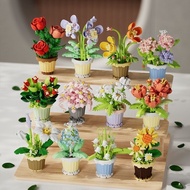 Immortal Compatible Lego Building Blocks Flowers Succulents Potted Plants Ornaments Assembled Small Particles Education