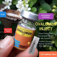 Ovalumon 5ml + Suntikan Obat Perangsang Birahi Kelinci Kucing Anjing Kambing Sapi dan hewan lainnya