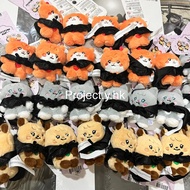 (現貨) idle we are pop up with line friends plush keyring doll idle公仔周邊匙扣 ｜ idle官方周邊 idle韓國快閃 idle公仔 G