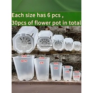 5 Specifications Can Observe Succulents Root Development Side Open Diamond Pots, 6 Pieces Each Speci