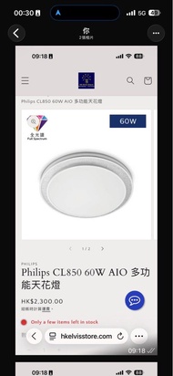 全新飛利浦天花燈