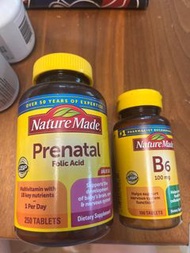 Nature Made B6 / folic acid 維生素B6 / 葉酸