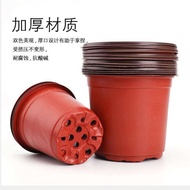 Simple Seedling Cup Greenhouse Thickened Nutrient Pot Two-tone Pot Flower Pot Leaf Insert Pot Seedli