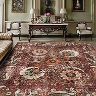 8x10 Area Rugs for Living Room, Moroccan-Style Designed Living Room Rug, Non-Shedding Washable Rugs 