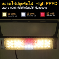 โคมไฟปลูกต้นไม้ GOD-50W LED Grow Light AC 220V ไฟปลูกต้นไม้ ต้นไม้โตเร็วทันใช้ ไฟปลูกพืช ไฟไม้ใบ ไฟปลูกมอนเตอร่า ไฟสีเหลืองทอง 3250K มี LED 660nm