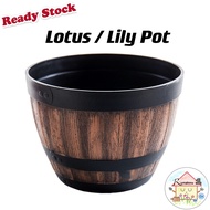 ［𝗟 𝗦𝗜𝗭𝗘］LOTUS WATER LILY WATER PLANT POT NO HOLE/PASU LILY TERATAI TAK ADA LUBANG/BIG FLOWER POT/FISH POT/PASU BELA IK