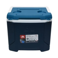 Cooler box igloo 15 ltr / Storage box / Milk Storage box