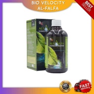 BV ALFALFA CONCENTRATED BIO VELOCITY SAHAJIDAH HAI-O