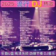❤✨High Sound Quality 2025 Car u Disk Music Popular DJ Hot Song Internet MP3DJ Song Car mp3 Music Fla