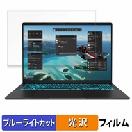 ASUS Gaming V16 V3607VU 16インチ 16:10 保護フィルム 【 光沢仕様 】 ブルーライトカット フィルム