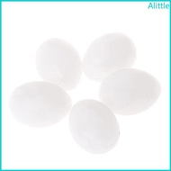 Alia 5Pcs Artificial Bird Eggs Solid Parrots Plastic Eggs for Parrotlet Budgies