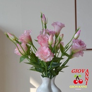 GIOVANNI Artificial Lisianthus Flowers, Real Touch Lifelike Fake Eustoma Flower, Photography Props B