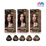 (Box Lid Cutting Product) Hair Color Changing Cream Dye Farger Coffee CB1-CB5 FG By Brown Series 100