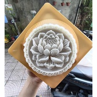 [2025 design model] 300gr mold set with 4 water grounds