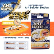 6 Baits Station 🥇Antslayer Ant Gel Killer  Bait Station - Liquid Ant Bait Tray Pest Control Ant Gel 