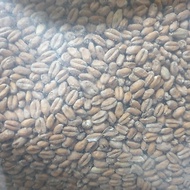 Imatton premium AUS WHEAT MALT homebrew craft