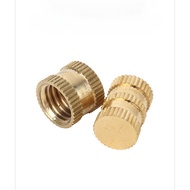(A)Blind hole single pass B nut, embedded parts, injection molded copper inlay, knurled nuts, copper