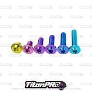 Titanium Bolt M8 GR5 BIGHEAD M8X10MM-100MM