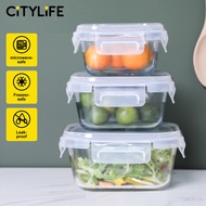 Citylife Bundle Air-tight Glass Lunch Box Oven Microwave Glass Food Container Bento Box H-84818283
